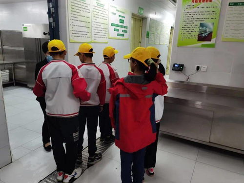 校多部門聯(lián)合檢查，提升餐飲服務質量