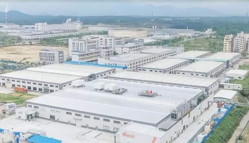 中國崛起為全球植物基食品重要市場(chǎng)，Omni新葷主義引領(lǐng)安心純素餐飲服務(wù)新潮流